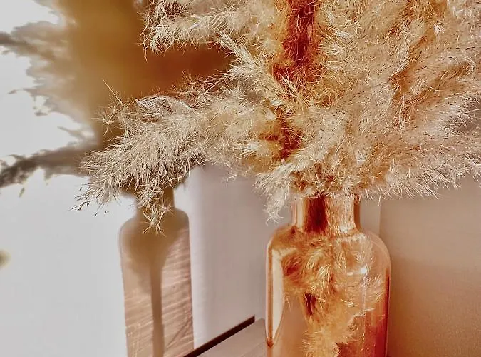 With View - Free Parking - Aurora Apartamento *